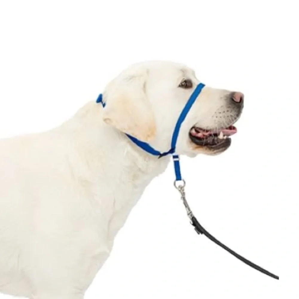 PetSafe Gentle Leader Headcollar No-Pull Dog Collar - Large, Royal Blue